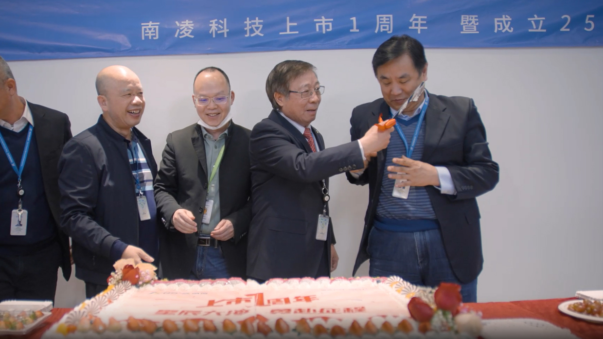 南凌上市、南凌科技財報